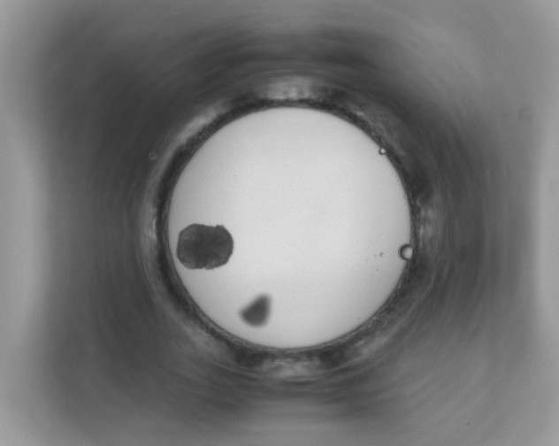 X0000111370727200907311032