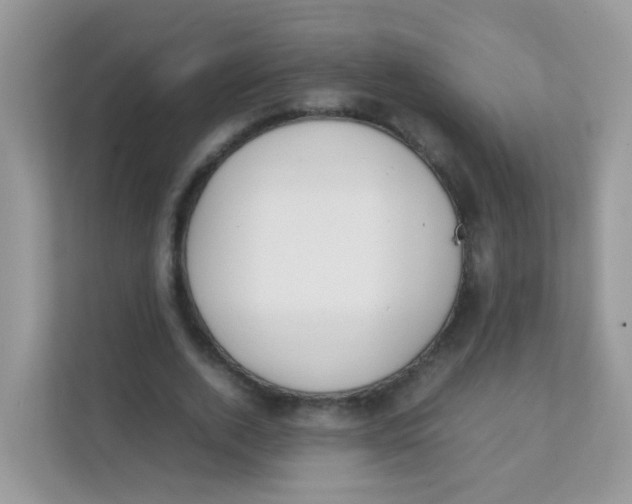 X0000111370728200907311032