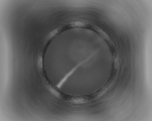 X0000111370729200907311032