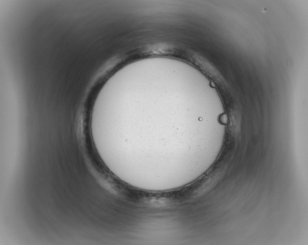 X0000111370730200907311032