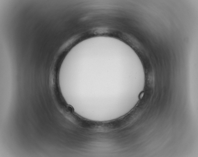 X0000111370732200907311032