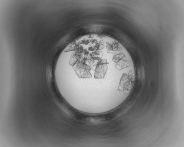 X0000111370733200907311032