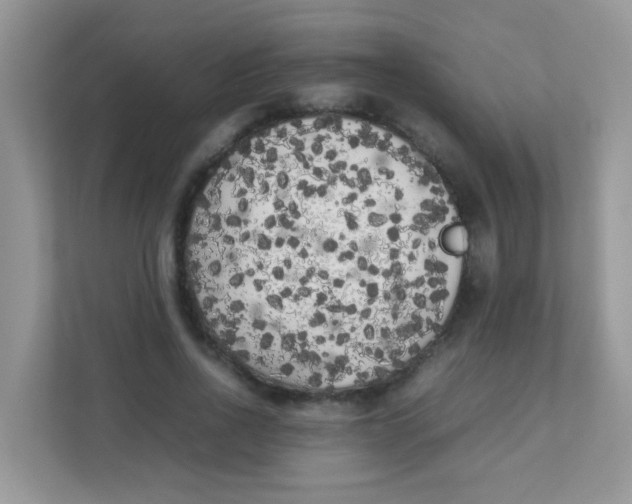 X0000111370734200907311032