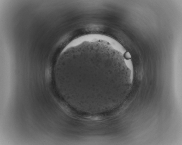 X0000111370735200907311032