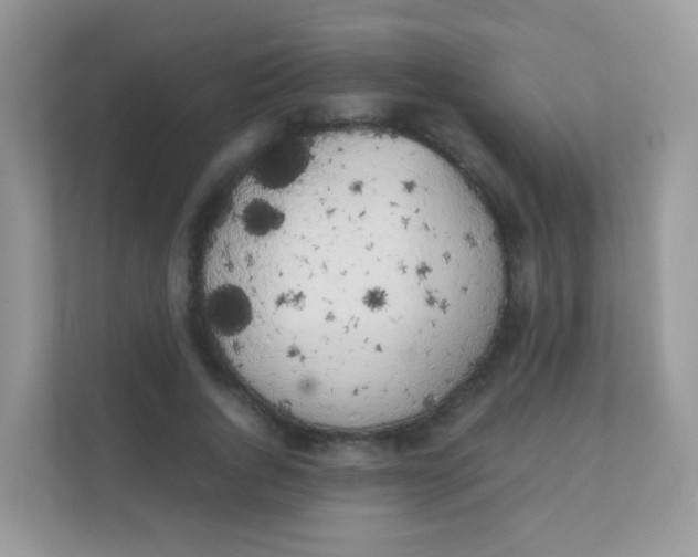 X0000111370736200907311032