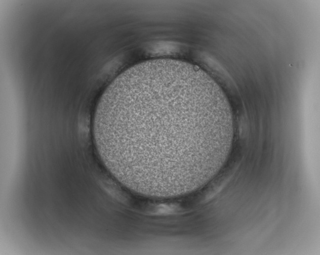 X0000111370737200907311032