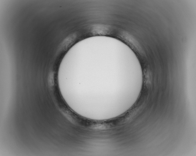 X0000111370738200907311032