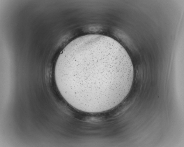 X0000111370739200907311032