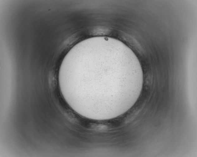 X0000111370743200907311033