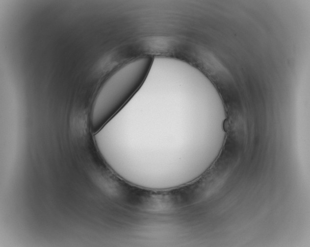 X0000111370744200907311033