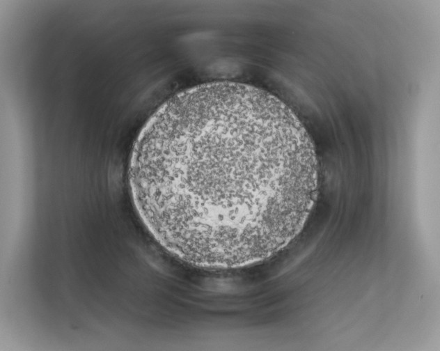 X0000111370745200907311033
