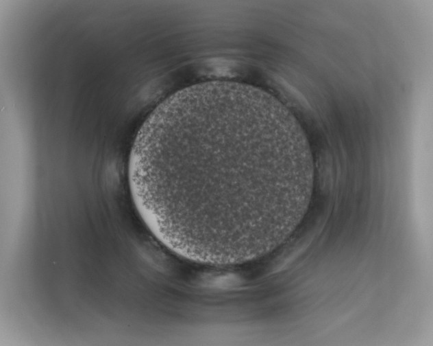 X0000111370747200907311033
