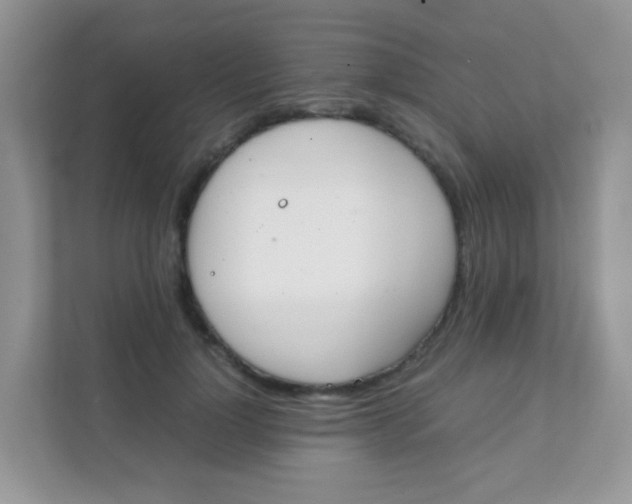 X0000111370748200907311033