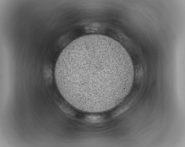 X0000111370749200907311033