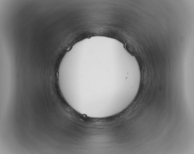 X0000111370750200907311033