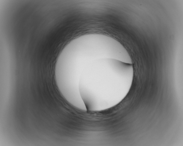 X0000111370752200907311033