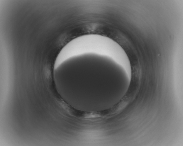 X0000111370754200907311033