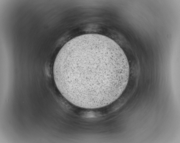X0000111370755200907311033