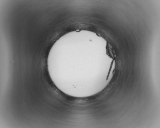 X0000111370756200907311033