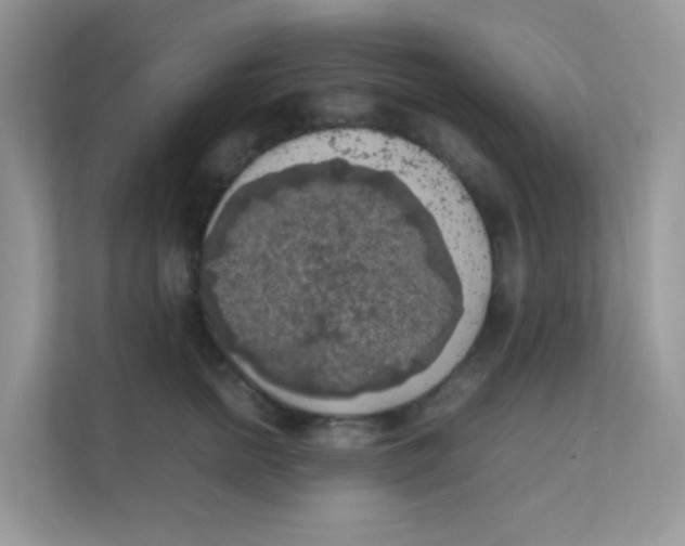 X0000111370758200907311033