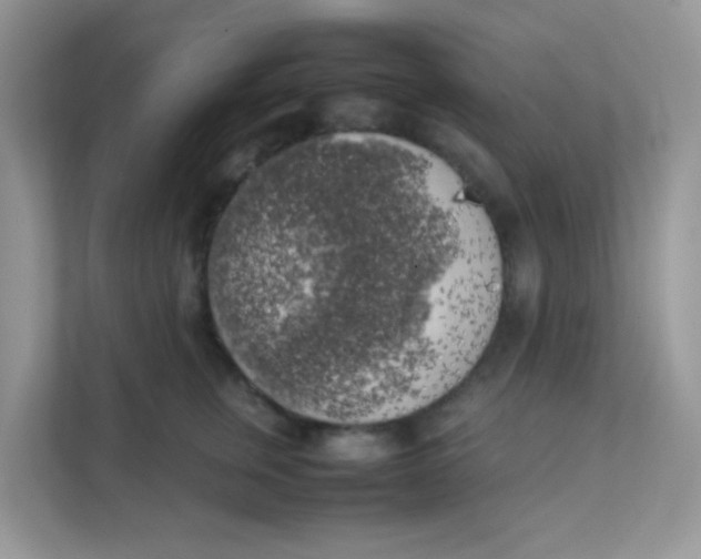 X0000111370759200907311033