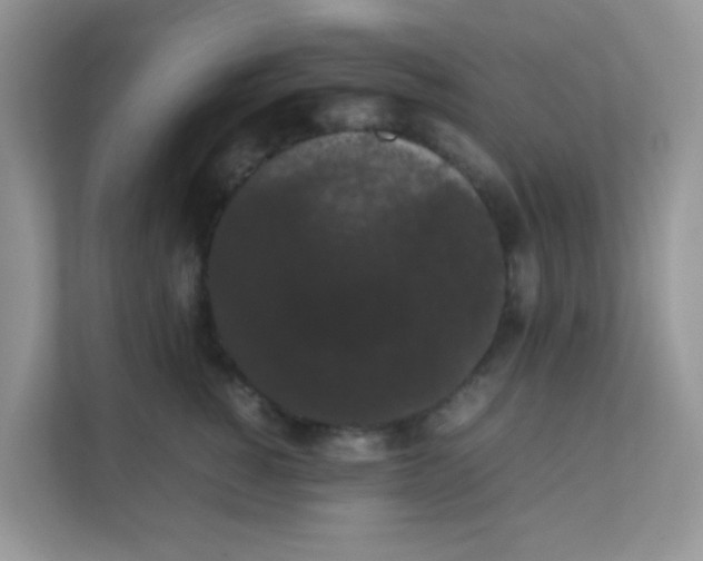 X0000111370760200907311033