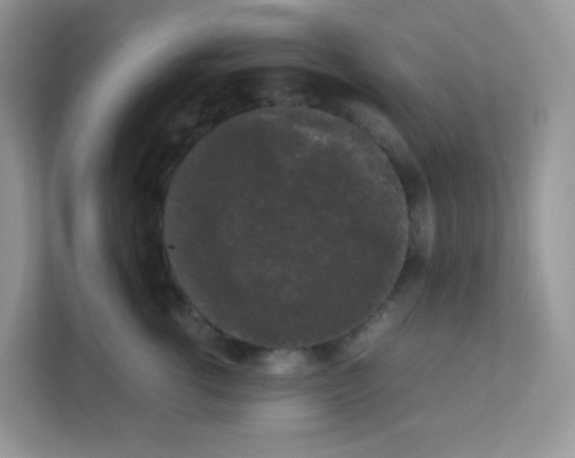 X0000111370762200907311033