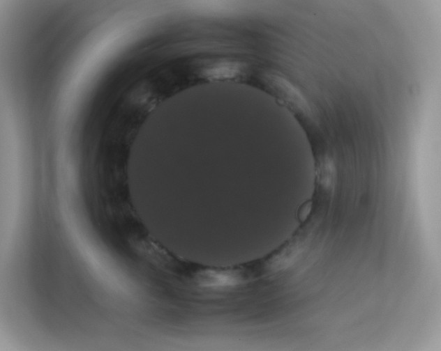 X0000111370763200907311033