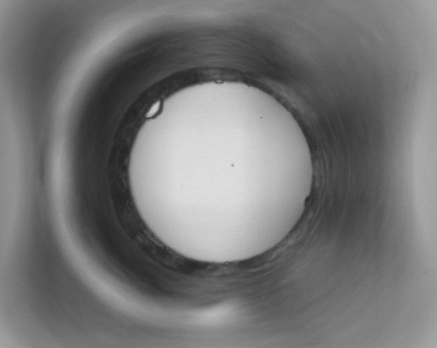 X0000111370764200907311033