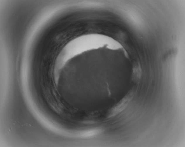 X0000111370765200907311033