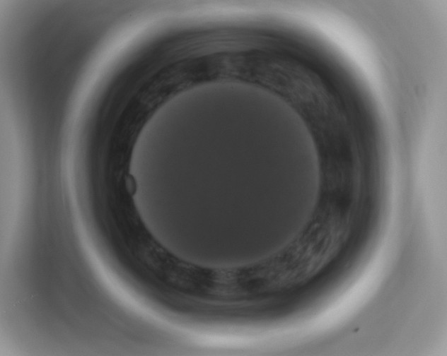 X0000111370766200907311033