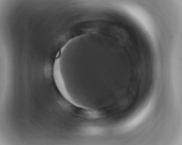 X0000111370767200907311033