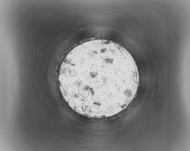 X0000111370769200907311032