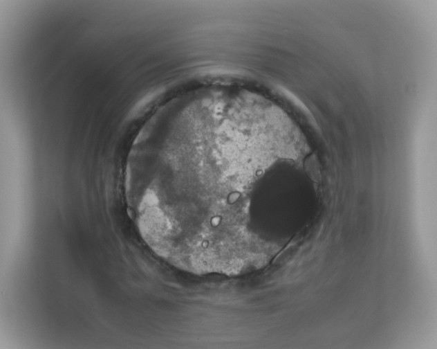 X0000111370775200907311032