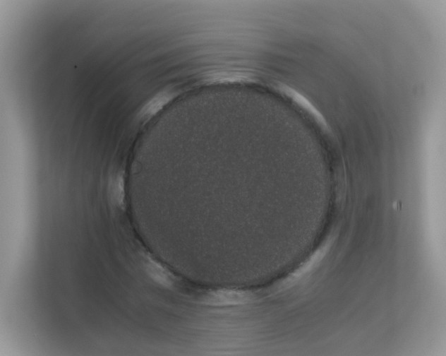 X0000111370777200907311032