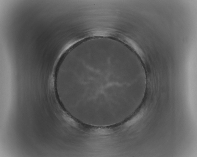 X0000111370779200907311032