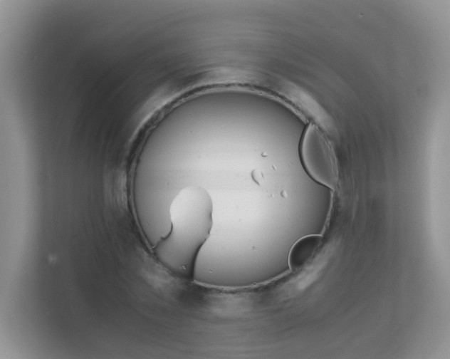 X0000111370781200907311032