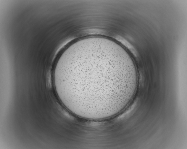 X0000111370782200907311032