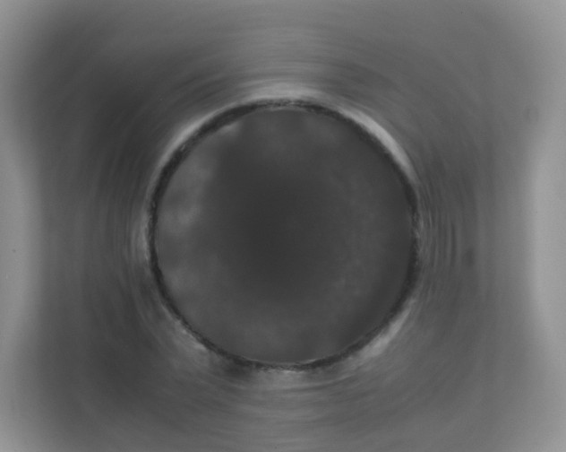 X0000111370783200907311032