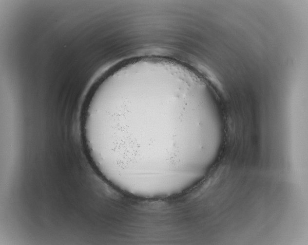 X0000111370784200907311032