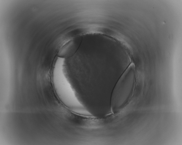 X0000111370785200907311032