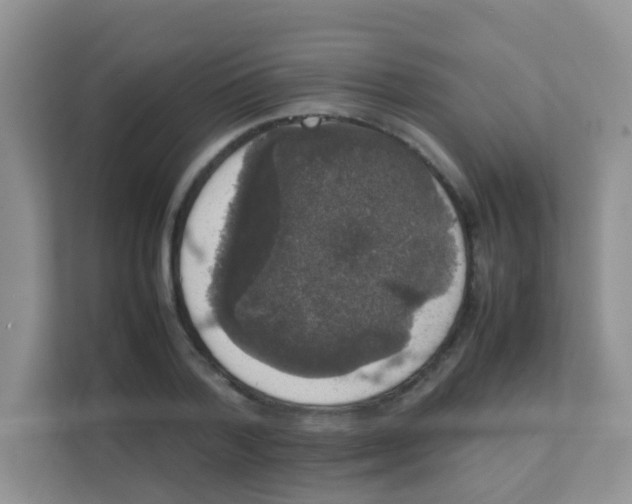 X0000111370788200907311032