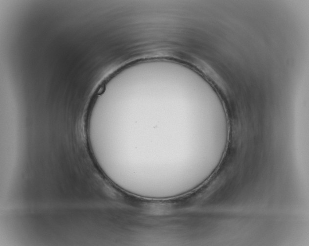 X0000111370789200907311032