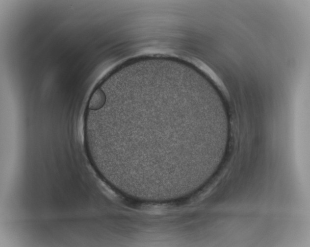 X0000111370791200907311032