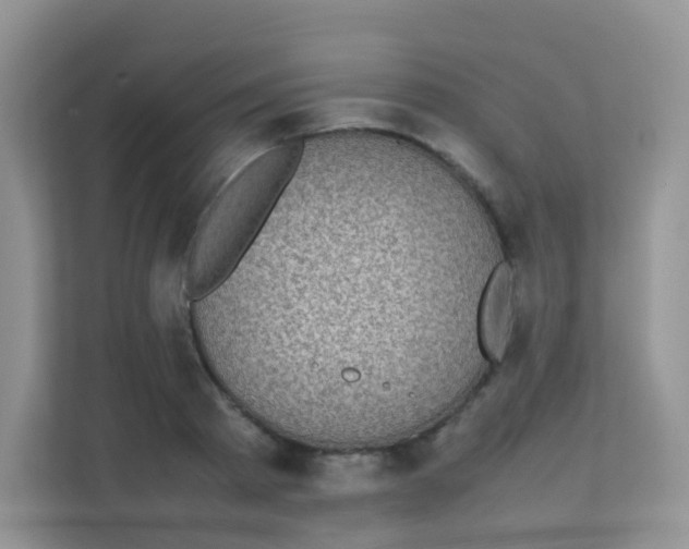 X0000111370793200907311032