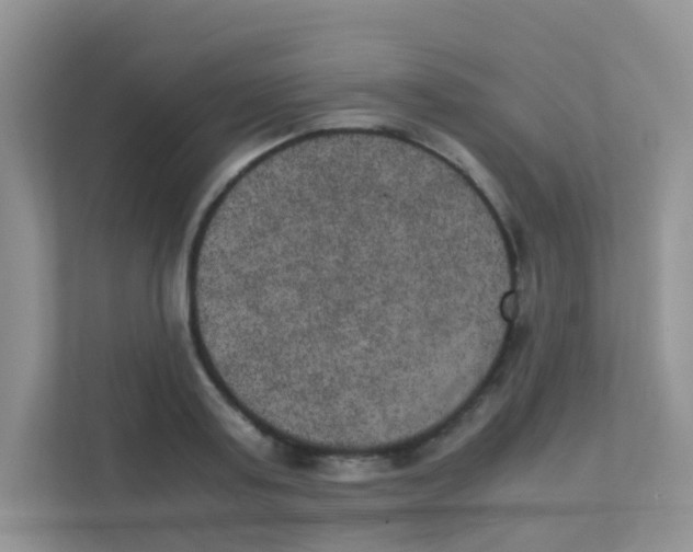 X0000111370795200907311032