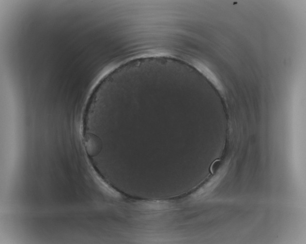 X0000111370797200907311032