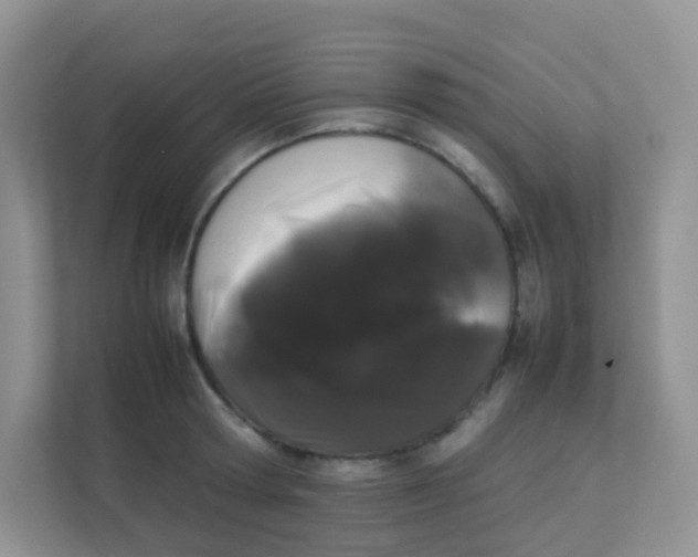 X0000111370802200907311032