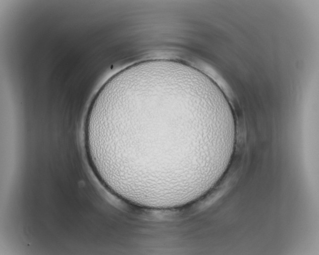 X0000111370803200907311032