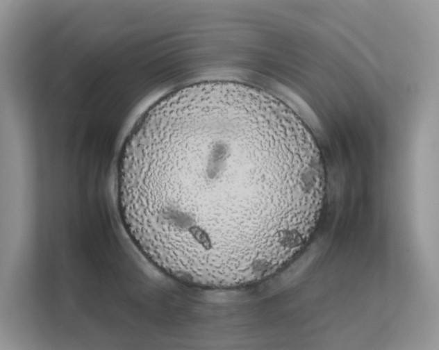 X0000111370804200907311032